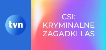 CSI: Kryminalne zagadki Las Vegas S12E13 - Zagadkowe morderstwa