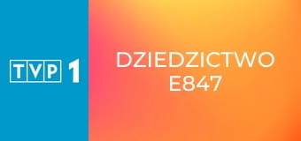 Dziedzictwo E847