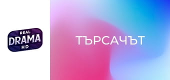 Търсачът