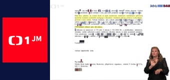 Události v regionech