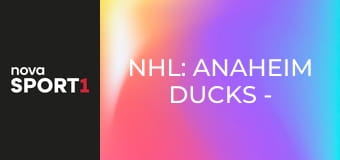 NHL: Anaheim Ducks - New York Islanders