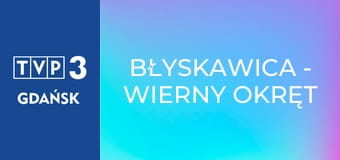 Błyskawica - Wierny Okręt