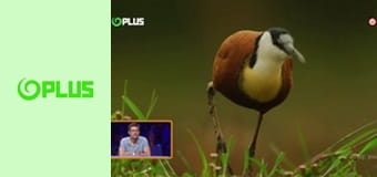 Dobre vedieť! - Marek Majeský, Vica Kerekes