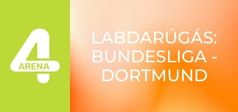 Labdarúgás: Bundesliga - Dortmund – Hamburg