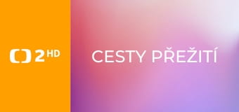 Cesty přežití