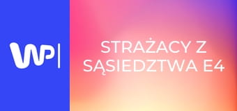 Strażacy z sąsiedztwa E4