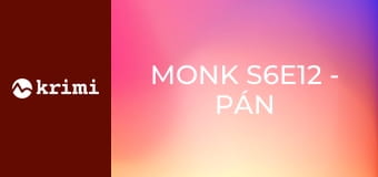 Monk S6E12 - Pán Monk ide do banky