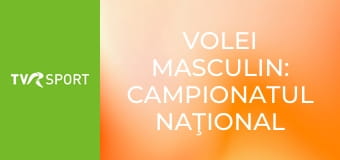 Volei masculin: Campionatul naţional