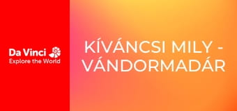 Kíváncsi Mily - Vándormadár Kíváncsi Mily - Vándormadár
