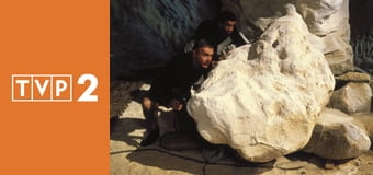 Nigdy nie mów nigdy