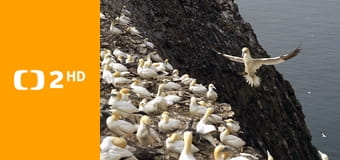 Malé ostrovy Velké Británie E4 Malé ostrovy Velké Británie E4