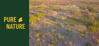 Африканска дива природа: Слонове, Част 2