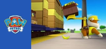 Psi Patrol Sezon 1 Odcinek 20
