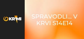 Spravodlivosť v krvi S14E14 - Joeova medaila