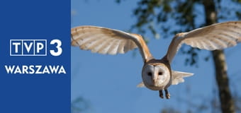 Prywatne życie zwierząt S3E2 - Ewolucja