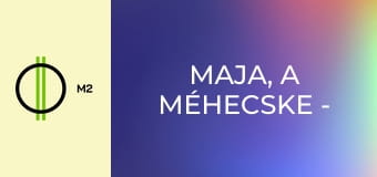 Maja, a méhecske - Galacsin galiba