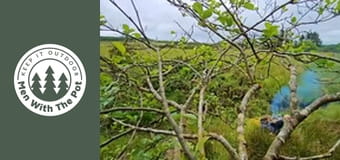 Super křupavý kuřecí sendvič s lesní majonézou