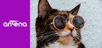 Zakręcone stworzonka z Internetu S1E3