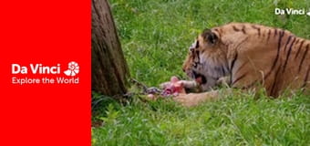 Do You Know? - Maddie The Zoo and You - Why do We Eat?