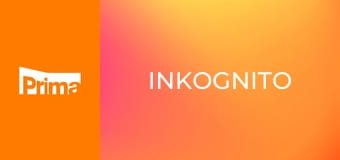 Inkognito