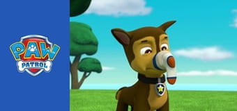 Patrula căţeluşilor Sezonul 2 Episodul 16