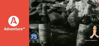 77 TV E1 - 77 TV przypadków świątecznych