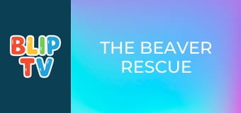 The Beaver Rescue The Beaver Rescue