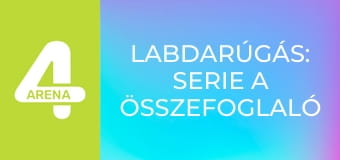Labdarúgás: Serie A összefoglaló - 30. forduló