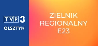 Zielnik regionalny E23