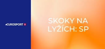 Skoky na lyžích: SP mužů: Vikersund