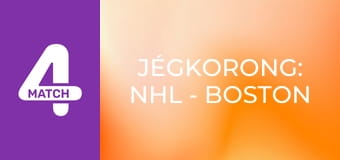 Jégkorong: NHL - Boston Bruins – Washington Capitals