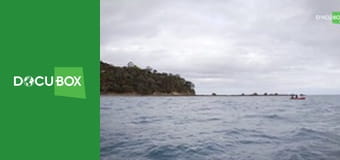 Polowa kuchnia Angela S1E1 - Przegrzebki