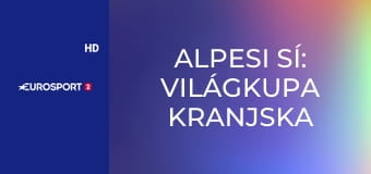 Alpesi sí: Világkupa Kranjska Gora férfiak - Műlesiklás, 2. futam