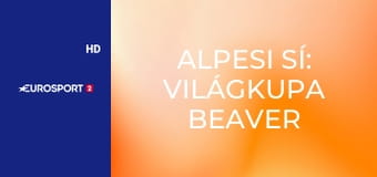 Alpesi sí: Világkupa Beaver Creek, Férfiak - Óriás-műlesiklás, 2. futam