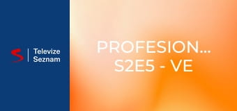 Profesionálové S2E5 - Ve veřejném zájmu