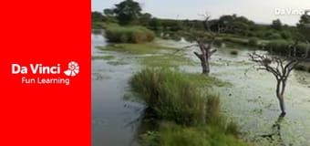 Siyaya - Come Wild With Us - Mountain of Water