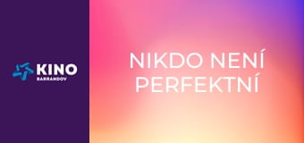 Nikdo není perfektní