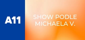 Show podle Michaela V. - Bára Basiková