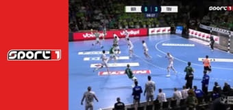 Kézilabda - Füchse Berlin - Lemgo