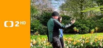 Evropa dnes - Nizozemsko v nejlepším světle