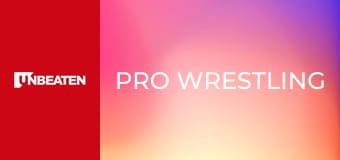 Pro Wrestling
