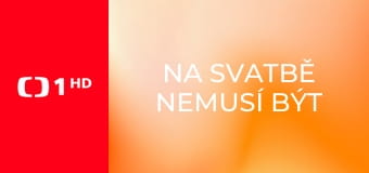 Na svatbě nemusí být jen svíčková - Na svatbě nemusí být jen svíčková