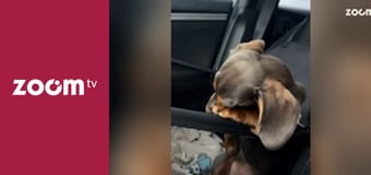 To leci w sieci S1E36