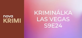 Kriminálka Las Vegas S9E24 - Hra o všechno