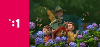 Paddington a jeho dobrodružstvá E61 - Paddington šampiónom