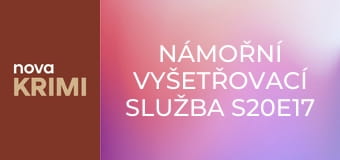 Námořní vyšetřovací služba S20E17 - Cizinec v cizí zemi