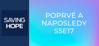 Poprvé a naposledy S5E17