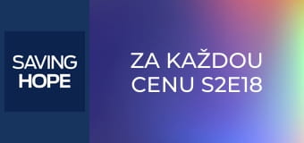 Za každou cenu S2E18