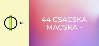 44 csacska macska - Bajszi-forgó