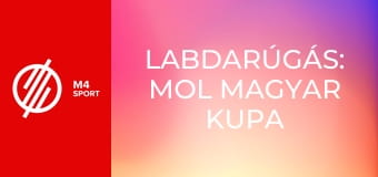 Labdarúgás: MOL Magyar Kupa - Budapest Honvéd FC – DVTK mérkőzés